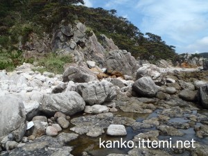 足付温泉を上から