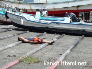 足付漁港で。。