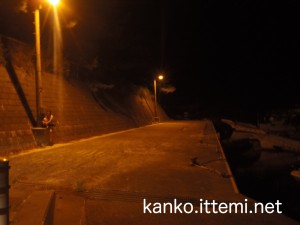 夜の港