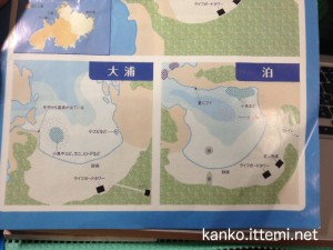 式根島ネイチャースイム　ベスト3ガイド２