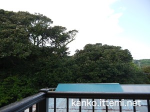 朝方の雨