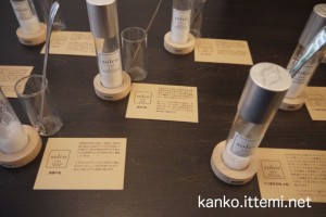 塩の説明文