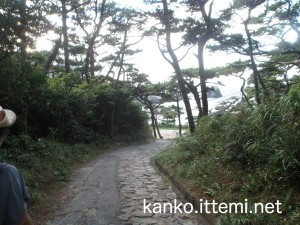 中の浦海水浴場の小道