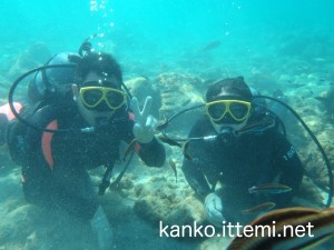 式根島　スキューバダイビング
