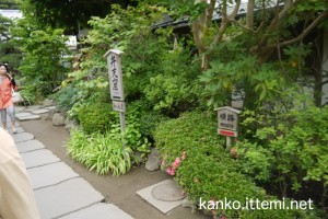 順路看板